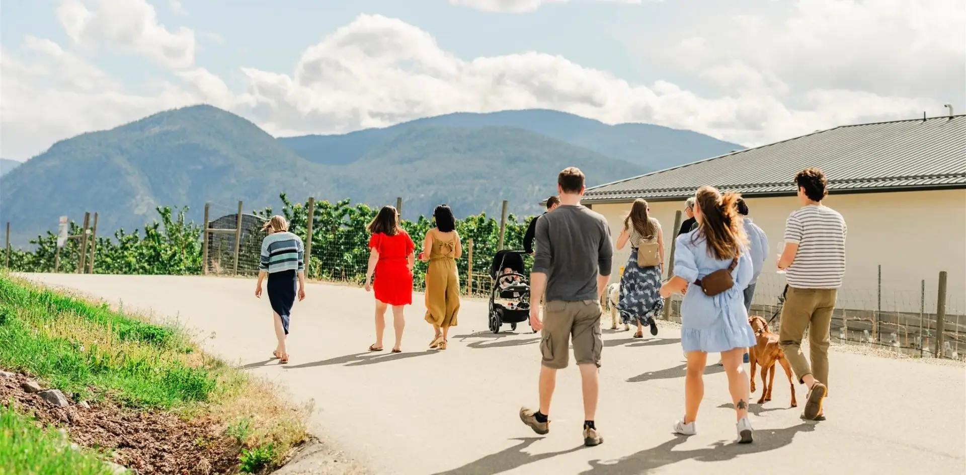   Aikins Loop Walking Wine Tour, Naramata  
