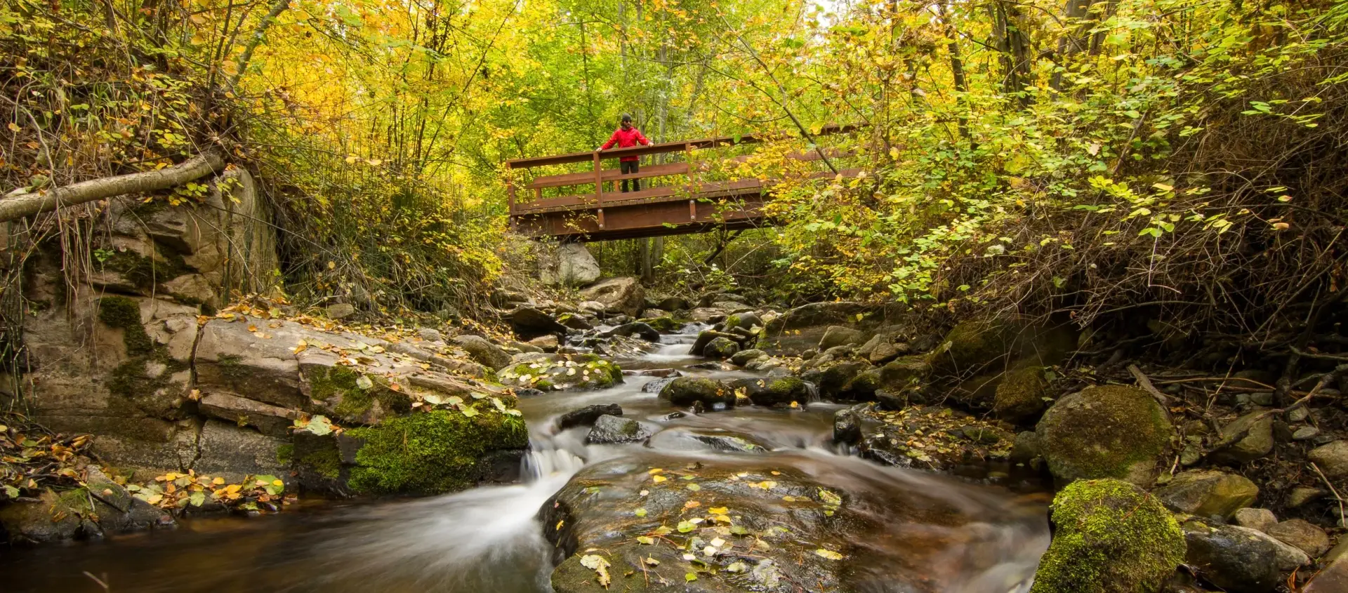  Hiking at Naramata Creek Park 