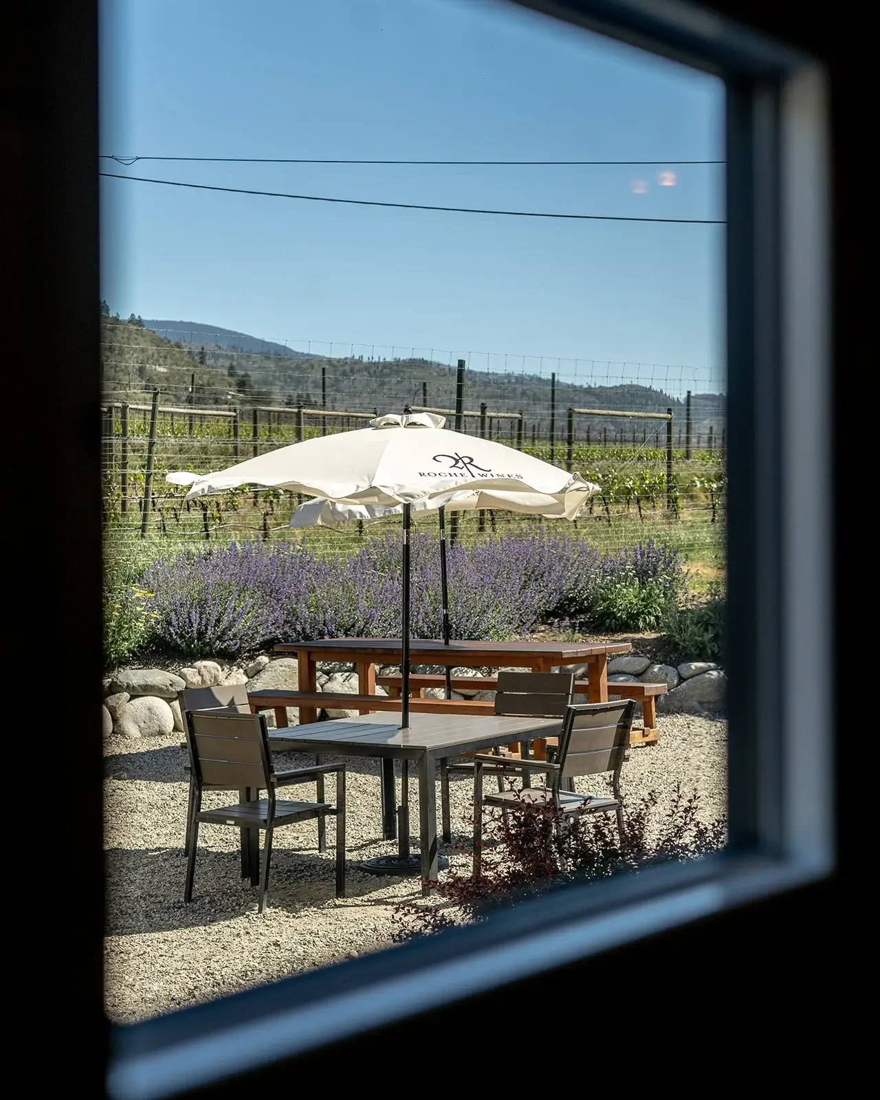 Roche Wines patio overlooking the vineyard