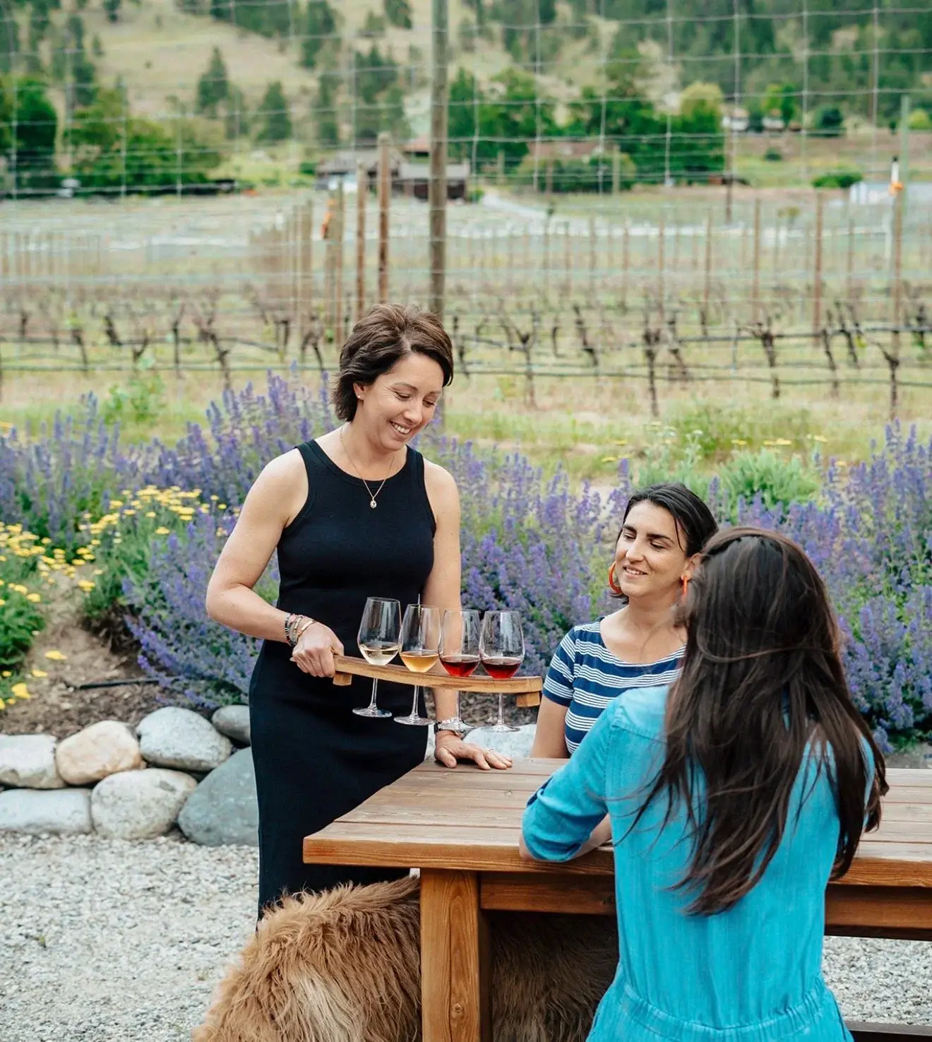 Roche Wines vineyard and winemaking image