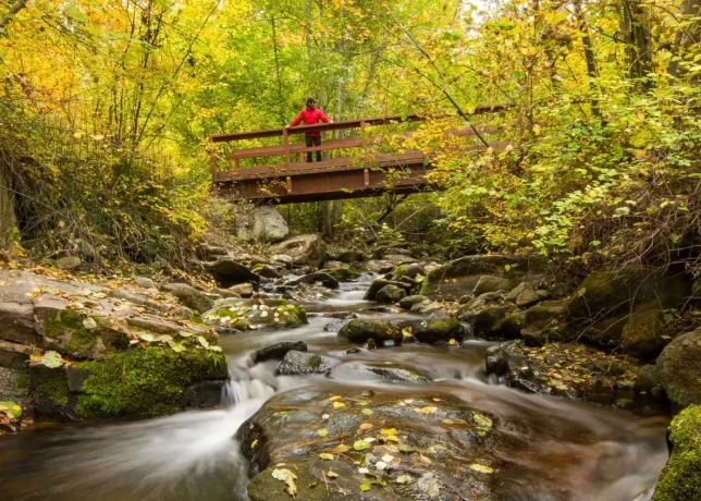Hiking at Naramata Creek Park