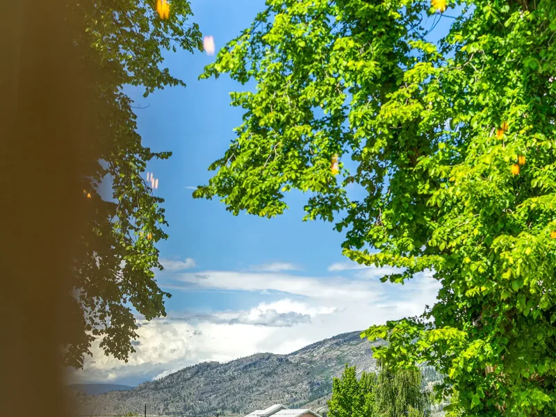 DISCOVER NARAMATA - MAY 21 2025