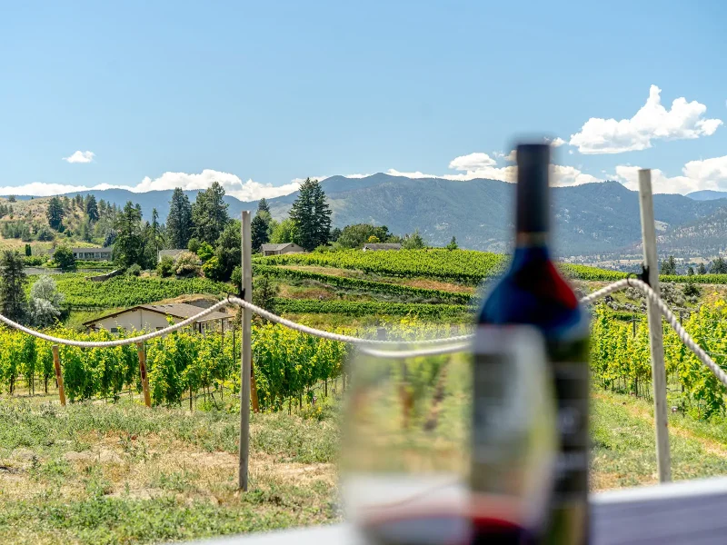 Discover Naramata - June 30 2025
