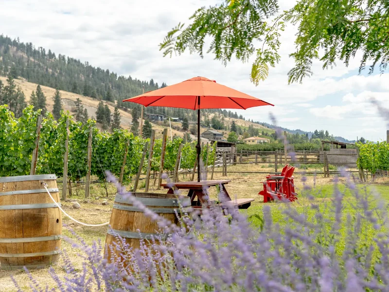 Discover Naramata - July 17 2025