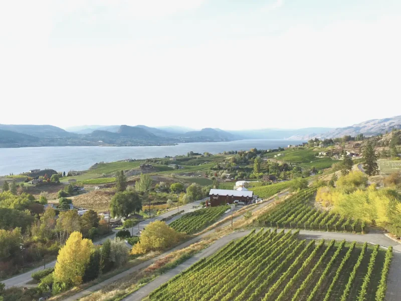 HillsideWinery428129