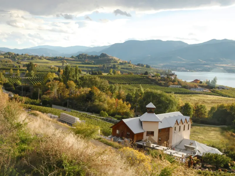 HillsideWinery528329