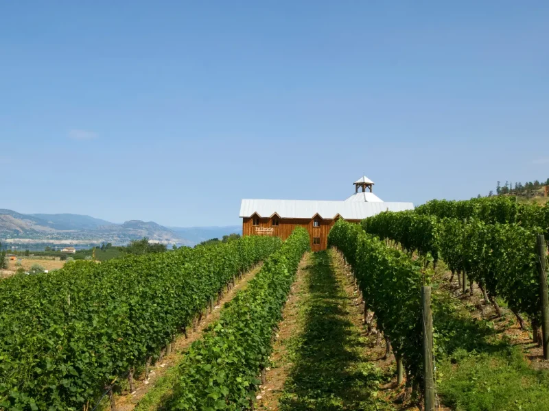 HillsideWinery628129