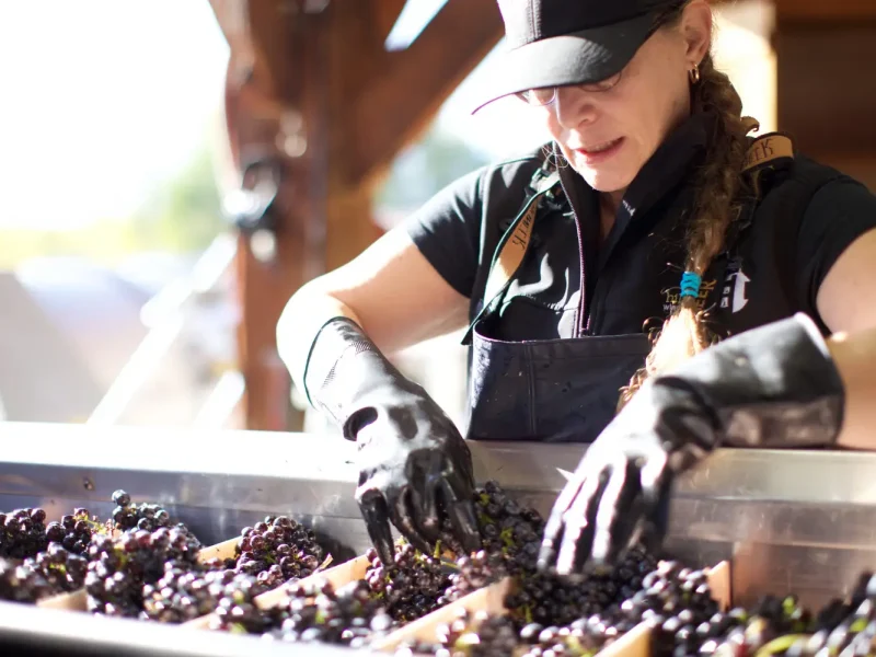 HillsideWinery7