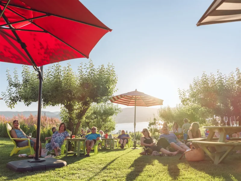 Joie's Farms Summer Concert- Ari Neufeld
