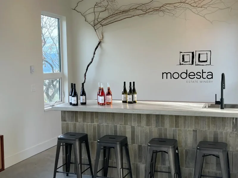 Modesta Winery1