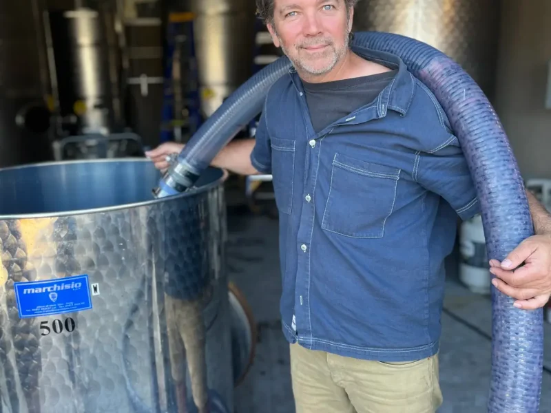 Modesta Winery2