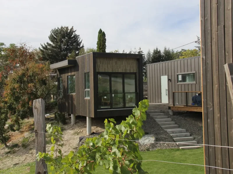 Modesta Winery4
