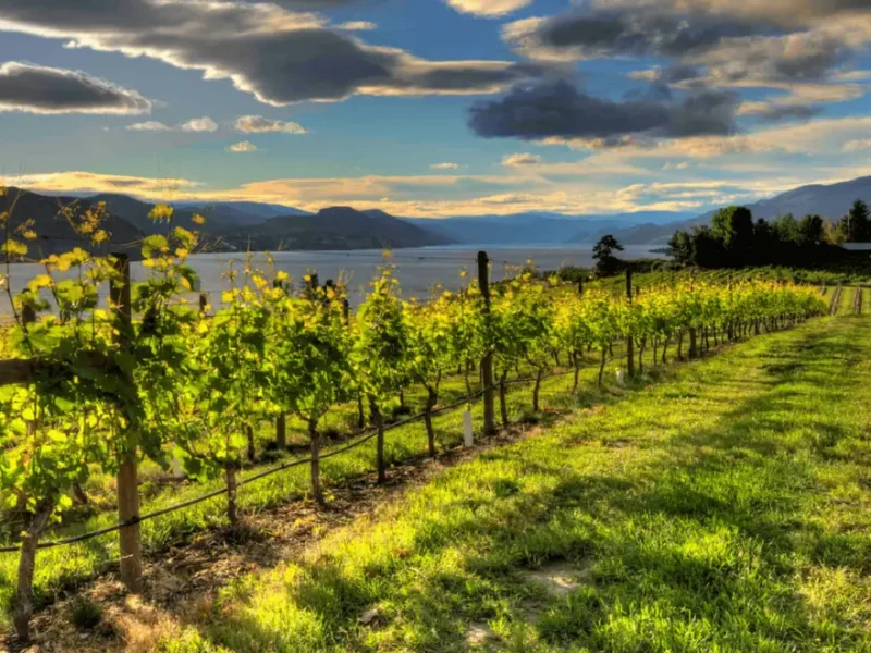 Moraine Estate Winery1