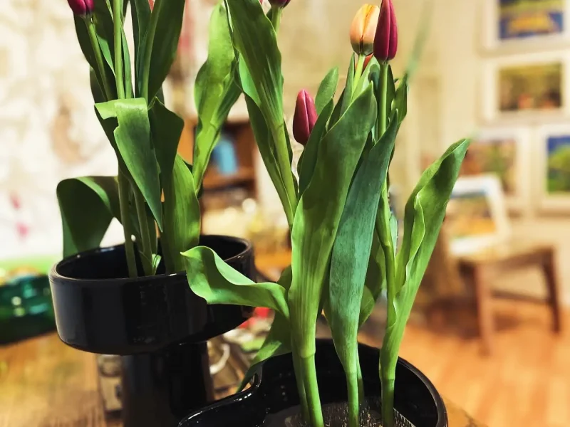 NaramatashopApril2