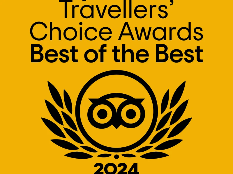 TC_BotB_thankyousocial_LL_1080x1350_2024