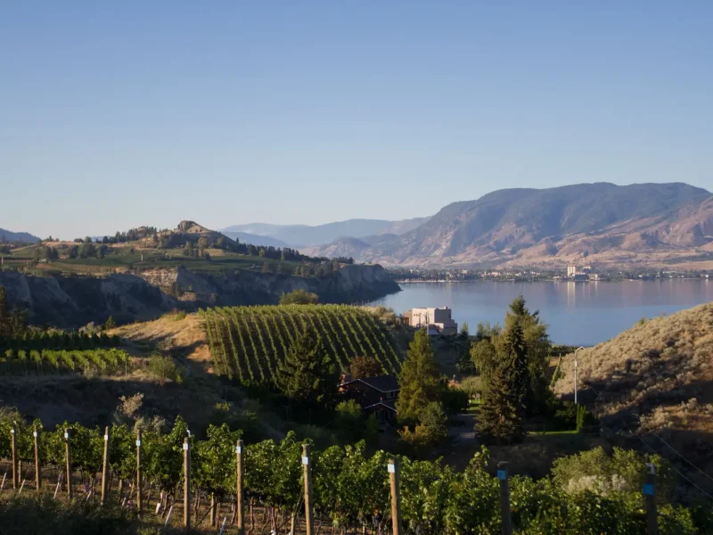 TightropeWInery4