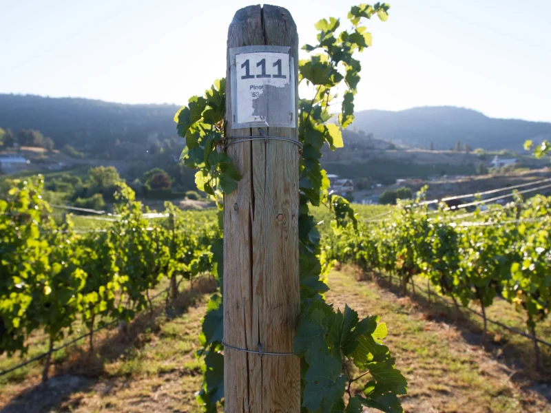 TightropeWInery5