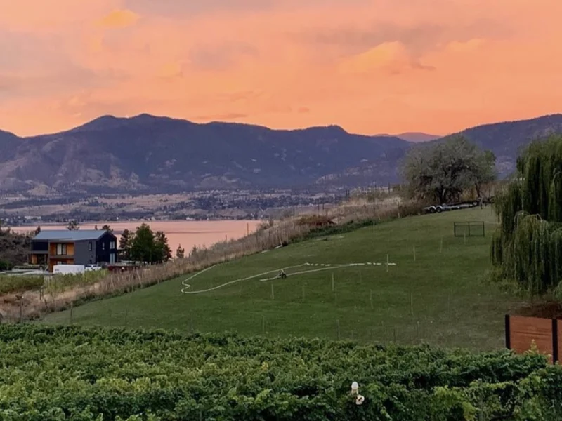 Wesbert Winery img1