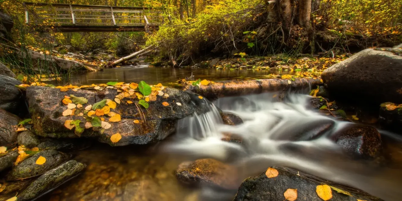YellowCreekParkBridge-HDR-1