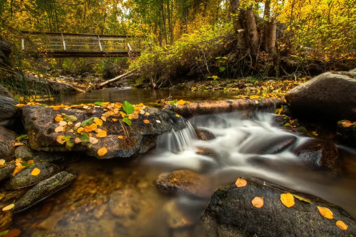 YellowCreekParkBridge-HDR-1