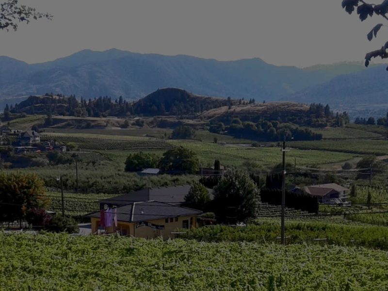 imgi_16_south_okanagan_hills