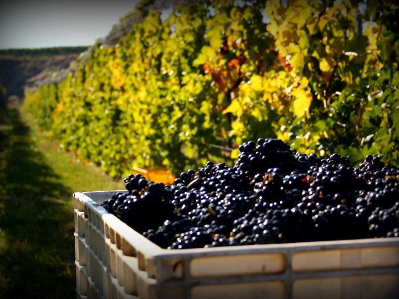 imgi_4_Naramata-Bench-Wineries-Association-3