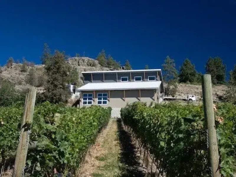 laughing-stock-winery_p3268878